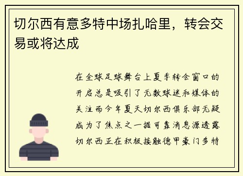 切尔西有意多特中场扎哈里，转会交易或将达成